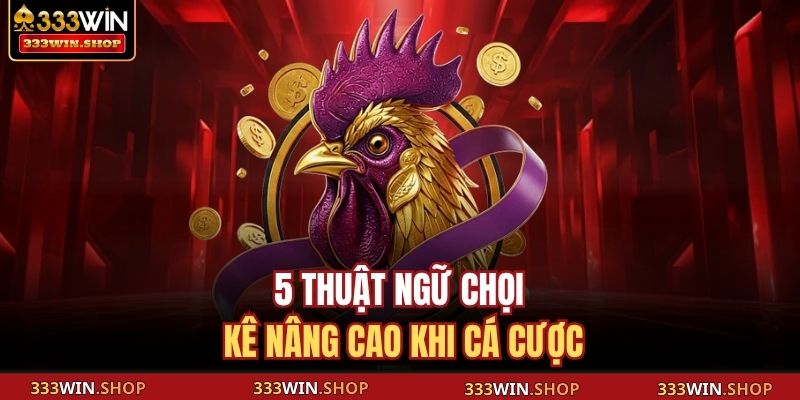 Thuật Ngữ Đá Gà 333WIN – Cẩm Nang Cho Người Mới Tham Gia 4 5 thuật ngữ chọi kê nâng cao khi cá cược