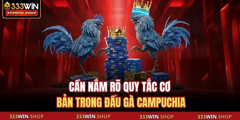 Đá Gà Campuchia Trực Tiếp 333WIN Tinh Hoa, Kịch Tính Hội Tụ 3 Cần nắm rõ quy tắc cơ bản trong đấu gà Campuchia