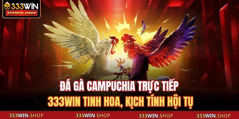 Đá gà Campuchia trực tiếp
