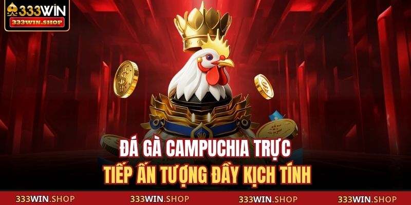 Đá Gà Campuchia Trực Tiếp 333WIN Tinh Hoa, Kịch Tính Hội Tụ 2 Đá gà Campuchia trực tiếp ấn tượng đầy kịch tính