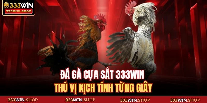 Đá Gà Cựa Sắt 333WIN – Đỉnh Cao Giải Trí Và Cá Cược Hiện Đại 2 Đá gà cựa sắt 333WIN thú vị kịch tính từng giây