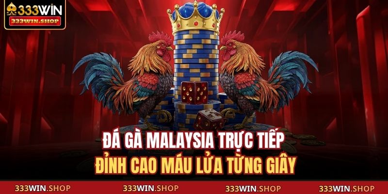 Đá Gà Malaysia Trực Tiếp 333WIN Đỉnh Cao Của Chiến Kê Châu Á 2 Đá gà Malaysia trực tiếp đỉnh cao máu lửa từng giây