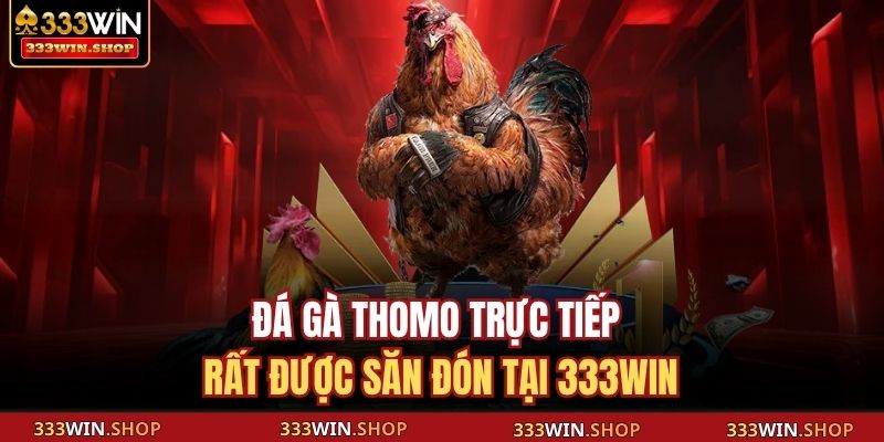 Đá Gà Thomo Trực Tiếp – Trải Nghiệm Kịch Tính Từng Cú Ra Đòn 2 Đá gà Thomo trực tiếp rất được săn đón tại 333WIN