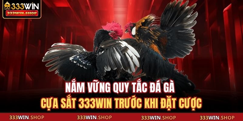 Đá Gà Cựa Sắt 333WIN – Đỉnh Cao Giải Trí Và Cá Cược Hiện Đại 4 Nắm vững quy tắc đá gà cựa sắt 333WIN trước khi đặt cược