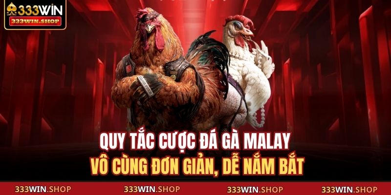 Đá Gà Malaysia Trực Tiếp 333WIN Đỉnh Cao Của Chiến Kê Châu Á 3 Quy tắc cược đá gà Malay vô cùng đơn giản, dễ nắm bắt