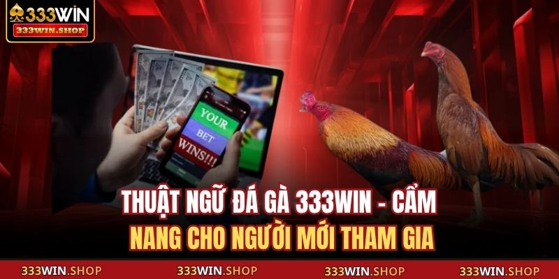 thuật ngữ đá gà 333WIN