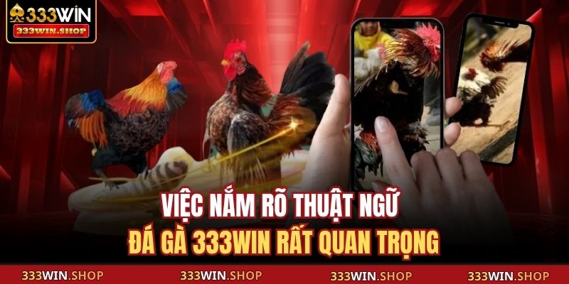 Thuật Ngữ Đá Gà 333WIN – Cẩm Nang Cho Người Mới Tham Gia 2 Việc nắm rõ thuật ngữ đá gà 333WIN rất quan trọng